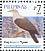 Grey Imperial Pigeon Ducula pickeringii  2008 Birds, stamps with blue bottom line 