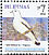 Pied Imperial Pigeon Ducula bicolor  2008 Birds, stamps with blue bottom line 