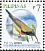 Flaming Sunbird Aethopyga flagrans  2009 Birds 