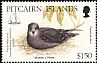 Murphy's Petrel Pterodroma ultima