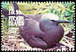 Brown Noddy Anous stolidus  1995 Birds 