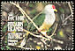 Henderson Fruit Dove Ptilinopus insularis  1995 Birds 