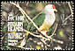 Henderson Fruit Dove Ptilinopus insularis