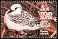 Red-tailed Tropicbird Phaethon rubricauda  1995 Birds 