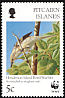 Henderson Reed Warbler Acrocephalus taiti  1996 WWF 