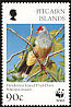 Henderson Fruit Dove Ptilinopus insularis  1996 WWF 