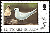 White Tern Gygis alba  1996 Birds 