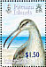 Bristle-thighed Curlew Numenius tahitiensis  2005 Bristle-thighed Curlew Sheet