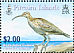 Bristle-thighed Curlew Numenius tahitiensis  2005 Bristle-thighed Curlew Sheet