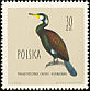 Great Cormorant Phalacrocorax carbo  1960 Birds 