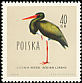 Black Stork Ciconia nigra  1960 Birds 