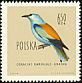 European Roller Coracias garrulus  1960 Birds 