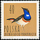 Bluethroat Luscinia svecica  1964 Birds 