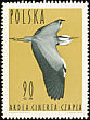 Grey Heron Ardea cinerea  1964 Birds 