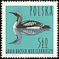 Black-throated Loon Gavia arctica  1964 Birds 