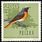 Common Redstart Phoenicurus phoenicurus  1966 Woodland birds 