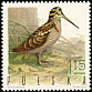 Eurasian Woodcock Scolopax rusticola  1970 Game birds 