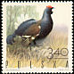 Black Grouse Lyrurus tetrix  1970 Game birds 