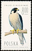 Peregrine Falcon Falco peregrinus  1975 Birds of prey 