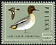 Eurasian Teal Anas crecca  1985 Wild ducks 