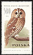 Tawny Owl Strix aluco  1990 Owls 