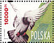 Rock Dove Columba livia  1994 Pigeons  MS
