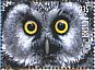 Boreal Owl Aegolius funereus  2015 Owls Sheet