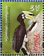 Oriental Pied Hornbill Anthracoceros albirostris  2019 Joint issue with Singapore Sheet