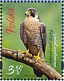 Peregrine Falcon Falco peregrinus  2019 Joint issue with Singapore Sheet