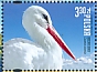 White Stork Ciconia ciconia  2020 Polish birds Sheet