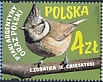 European Crested Tit Lophophanes cristatus