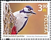 Great Spotted Woodpecker Dendrocopos major  2024 Birds of Polish parks 