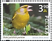 European Greenfinch Chloris chloris  2024 Birds of Polish parks 