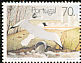 Black-headed Gull Chroicocephalus ridibundus  1992 UN conference on environment and development Strip