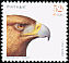 Golden Eagle Aquila chrysaetos  2000 Birds of Portugal 