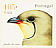 Collared Pratincole Glareola pratincola  2001 Birds of Portugal Booklet, sa