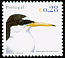 Little Tern Sternula albifrons  2002 Birds of Portugal 