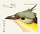 Great Spotted Cuckoo Clamator glandarius  2002 Birds of Portugal sa