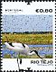 Pied Avocet Recurvirostra avosetta  2018 Rio Tejo 4v set