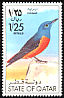 Common Rock Thrush Monticola saxatilis  1976 Birds 