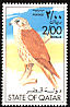 Saker Falcon Falco cherrug  1976 Birds 