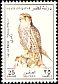 Lanner Falcon Falco biarmicus  1993 Falcons 
