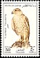 Saker Falcon Falco cherrug  1993 Falcons 