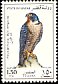 Peregrine Falcon Falco peregrinus  1993 Falcons 