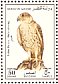 Saker Falcon Falco cherrug  1993 Falcons Sheet