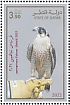 Peregrine Falcon Falco peregrinus  2022 Winning falcons Sheet