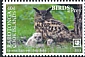 Eurasian Eagle-Owl Bubo bubo  2018 Birds of prey White frames