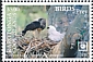 Crested Eagle Morphnus guianensis  2018 Birds of prey White frames