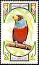 Toucan Barbet Semnornis ramphastinus  1972 Birds 