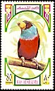 Toucan Barbet Semnornis ramphastinus